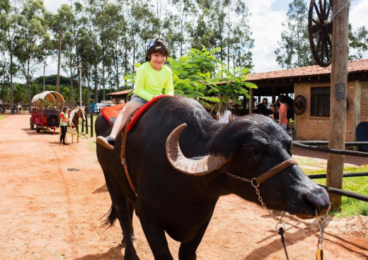 Barretos Country Resort